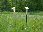 Regularly-spaced Bird Houses along Trail